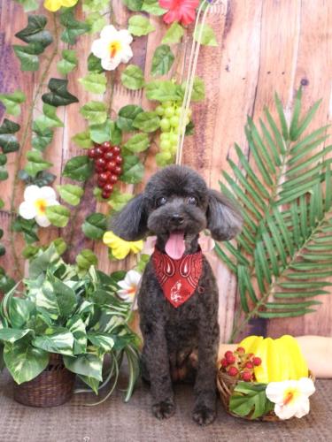 20230802梅ちゃん